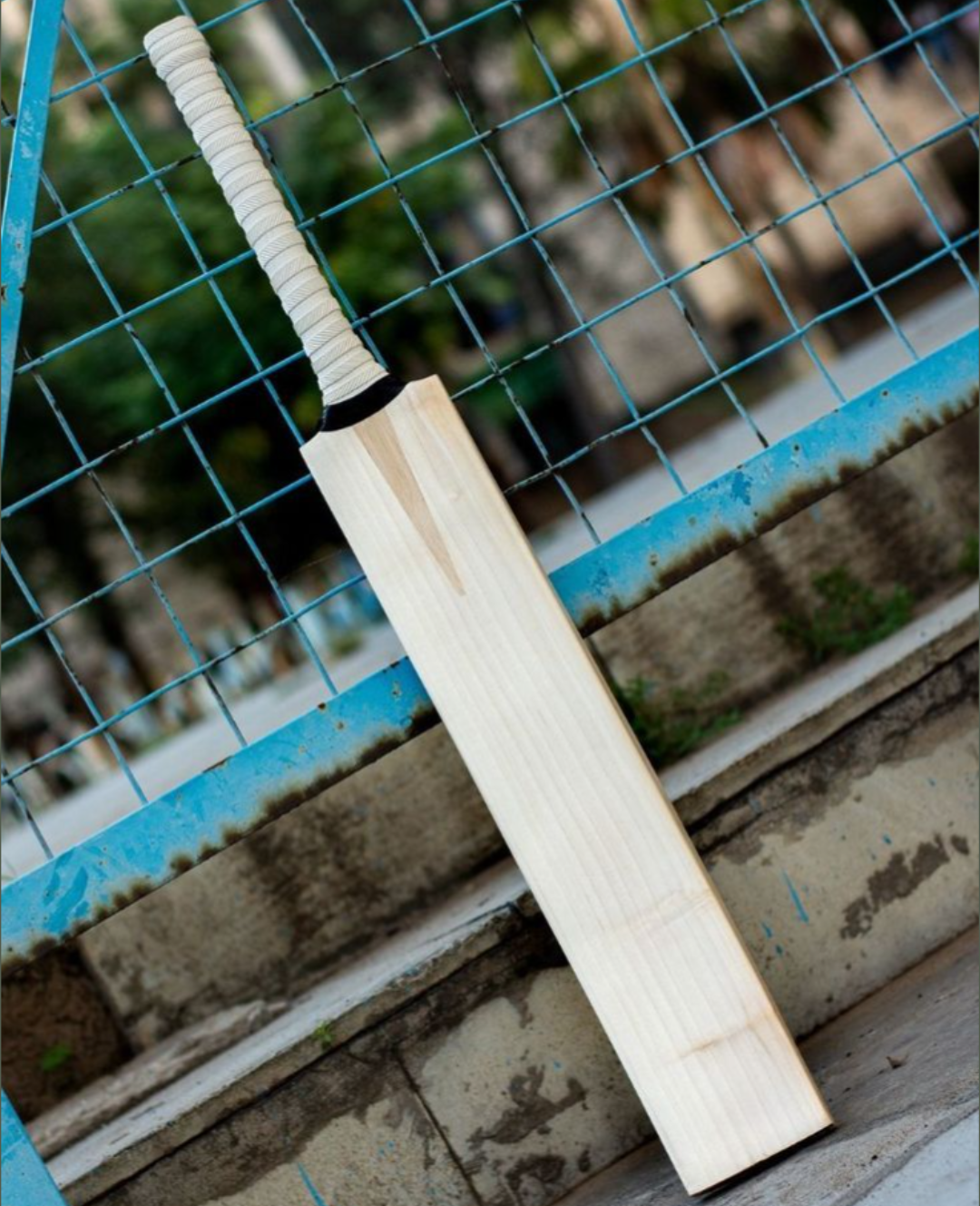 ENGLISH WILLOW CRICKET BATS