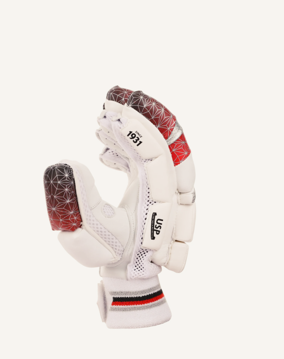 SG TEST BATTING GLOVES